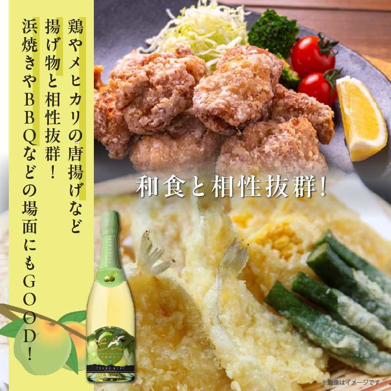 【数量限定】スパークリングワインうめ(計1本) _T014-030【酒 飲料 アルコール 国産 人気 ギフト 飲料 食品 お酒 お土産 限定品 贈り物 送料無料 プレゼント】