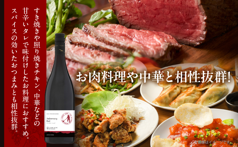 【数量限定】アンベラシー レッド(計1本)_T014-046【 ワイン 酒 アルコール 国産 人気 ギフト 食品 飲料 BBQ お土産 限定品 贈り物 送料無料 プレゼント】