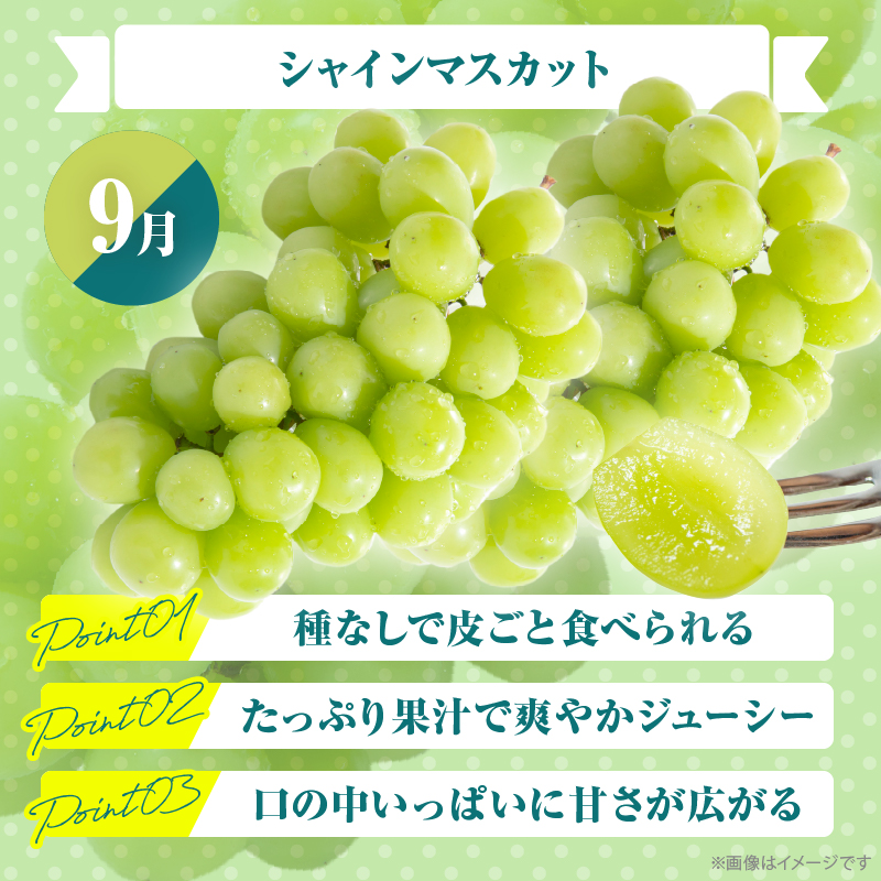 ≪定期便全4回≫2月・6月・9月・12月お届け!!４種フルーツ定期便★_T015-009【フルーツ 果物 デザート 国産 人気 ギフト 食品 旬 くだもの 果実 贈り物 お土産 送料無料 プレゼント】