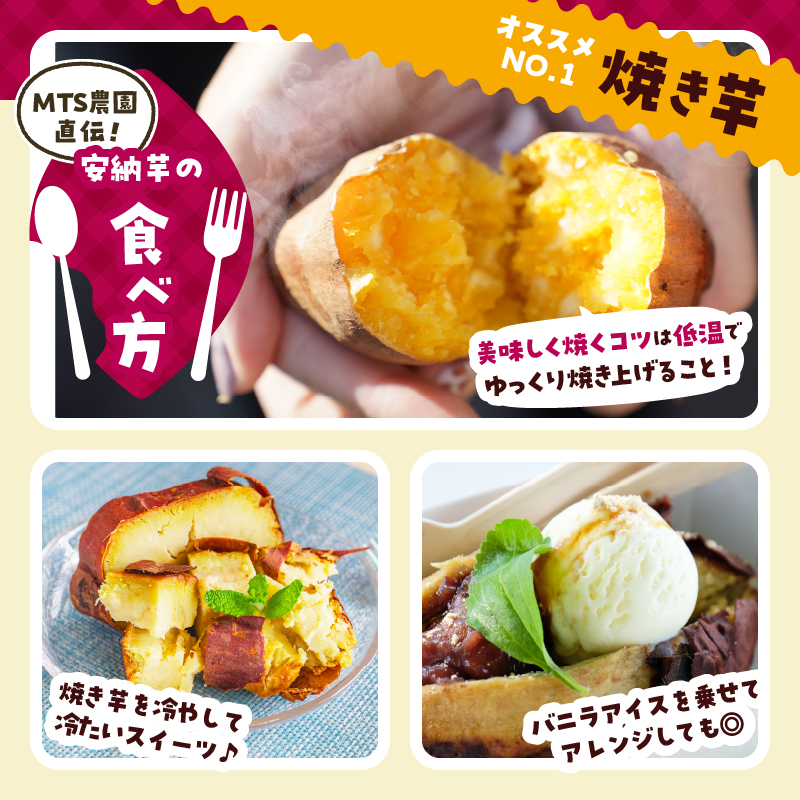 ≪期間限定≫都農町産安納芋(計10kg)_T016-0021【野菜 芋 イモ 国産 人気 ギフト おかず さつまいも 焼き芋 ポテト デザート 送料無料 プレゼント】