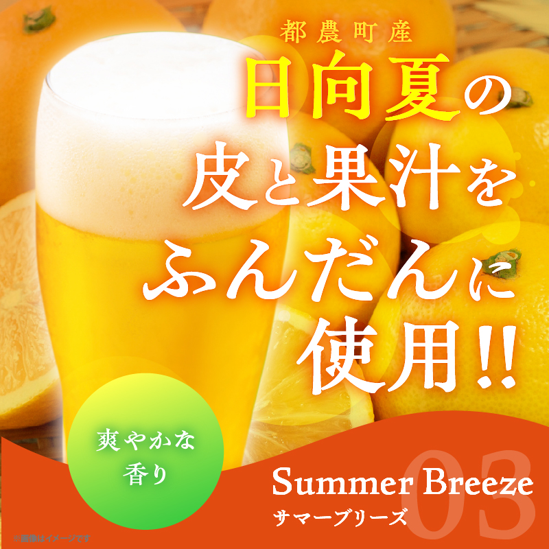 【2週間以内発送】都農クラフトビール詰め合わせ6本セット_T016-0031【酒 アルコール 飲料 国産 人気 ギフト お酒 地酒 晩酌 BBQ 贈り物 お土産 送料無料 プレゼント】