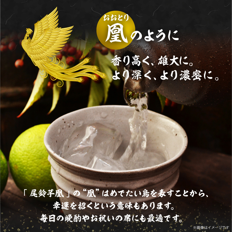 【2週間以内発送】幻の本格芋焼酎『尾鈴芋凰(おすずいもおう)』2本(25度)_T016-0041【酒 アルコール 飲料 国産 人気 ギフト お酒 本格芋焼酎 お土産 贈り物 送料無料 プレゼント】