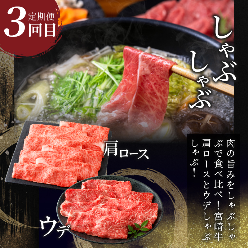 3か月お楽しみ定期便『宮崎牛よくばりセット』総重量2.4kg_T030-1363【肉 牛 牛肉 おかず 国産 人気 ギフト 食品 すき焼き しゃぶしゃぶ 焼肉 BBQ 送料無料 プレゼント】