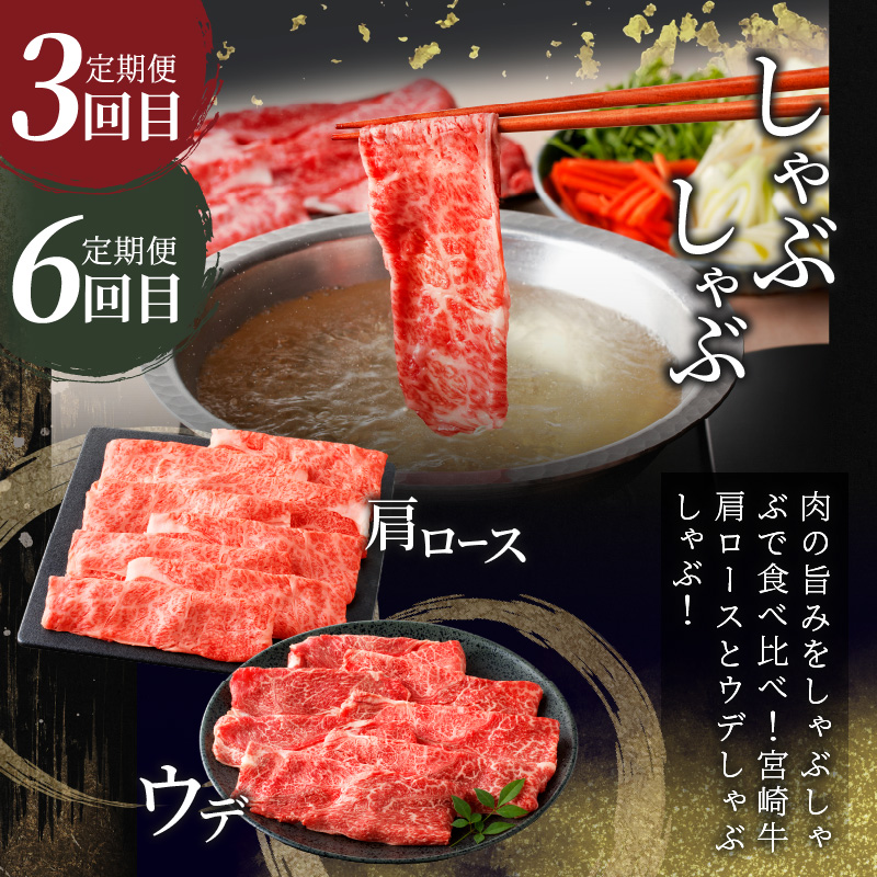 6か月お楽しみ定期便『宮崎牛よくばりセット』総重量4.8kg_T030-1843【肉 牛 牛肉 おかず 国産 人気 ギフト 食品 すき焼き しゃぶしゃぶ 焼肉 BBQ 送料無料 プレゼント】