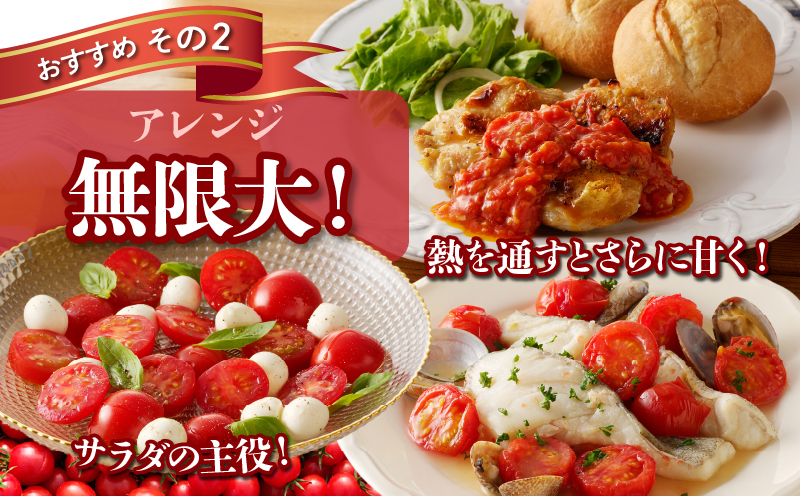 生産者応援!!【期間・数量限定特別規格】高糖度ミニトマト『ニーゴ25。』(計2kg)_T040-0021-ZO【ミニトマト 野菜 サラダ 国産 人気 ギフト 食品 とまと フルーツ 新鮮 お土産 送料無料 プレゼント】