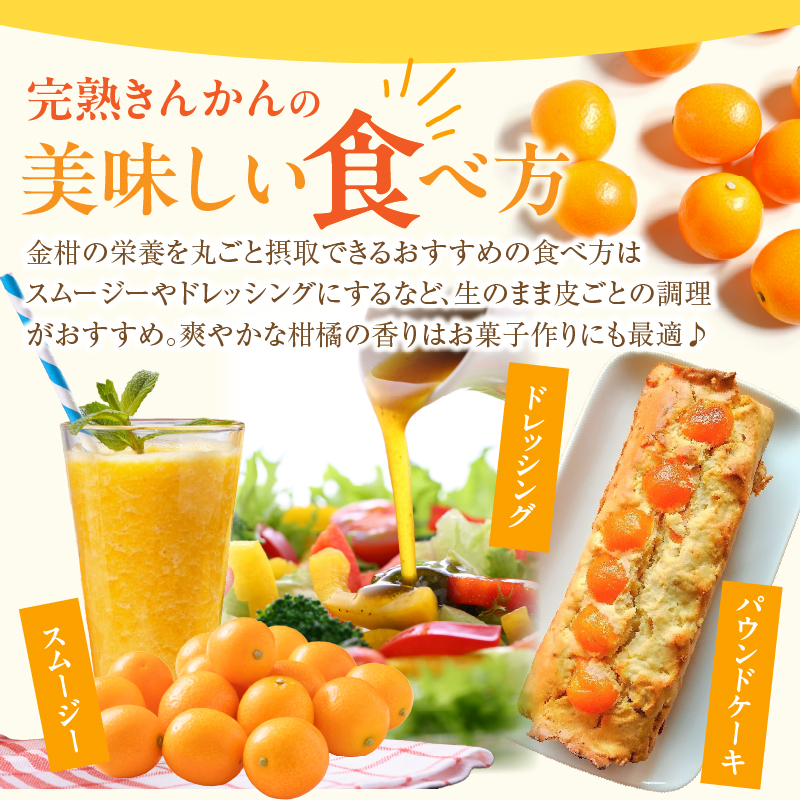 先行予約≪数量限定≫完熟きんかん(計1kg) 化粧箱入り_T042-0021【フルーツ 果物 柑橘 国産 人気 ギフト 食品 くだもの 金柑 デザート 贈り物 お土産 送料無料プレゼント】