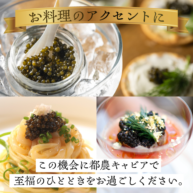 【2週間以内発送】都農キャビア(計10g)_T047-0011【魚 魚介 魚卵 国産 人気 ギフト 食品 おかず 魚介 加工品 お土産 贈り物 送料無料 プレゼント】