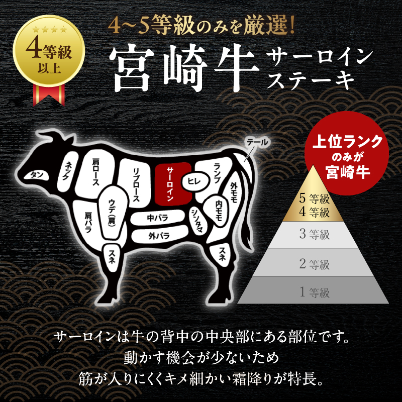 宮崎牛サーロインステーキ(計400g) _T050-0011【肉 牛 牛肉 国産 人気 ギフト 食品 おかず お肉 焼肉 BBQ 贈り物 送料無料 プレゼント】