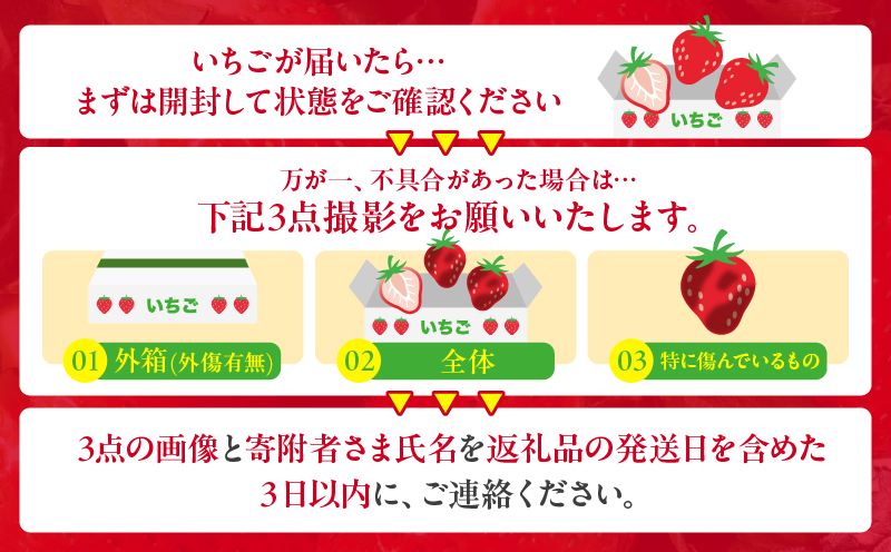 ≪数量限定≫都農町産いちご「やよいひめ」計500g_T059-0015【フルーツ 果物 デザート イチゴ 国産 人気 ギフト 食品 旬 苺 くだもの 果実 贈り物 お土産 送料無料 プレゼント】