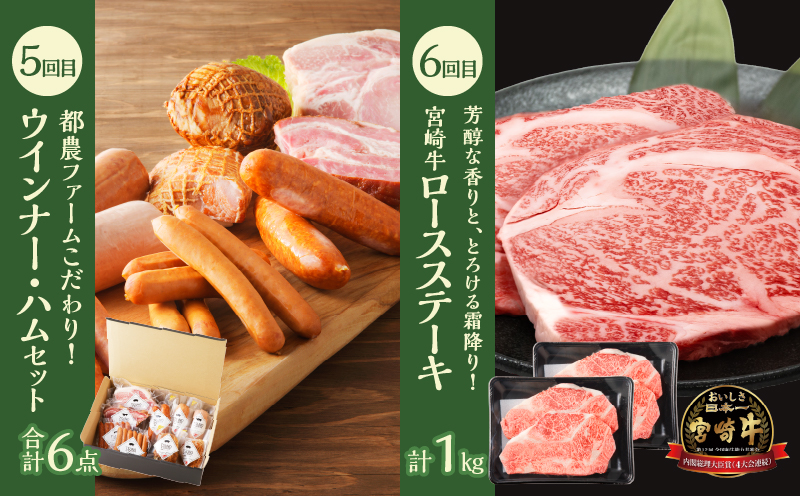 ≪6か月お楽しみ定期便≫都農町定期便(竹) _T999-0063【肉 加工品 鰻 国産 人気 ギフト おかず 食品 簡単調理 贈り物 お土産 送料無料 プレゼント】