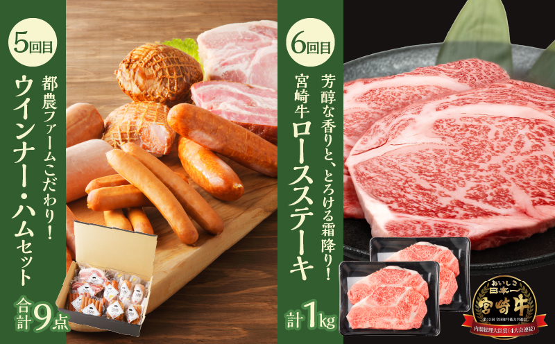 ≪6か月お楽しみ定期便≫都農町定期便(松)_T999-0073【肉 加工品 鰻 国産 人気 ギフト おかず 食品 簡単調理 贈り物 お土産 送料無料 プレゼント】