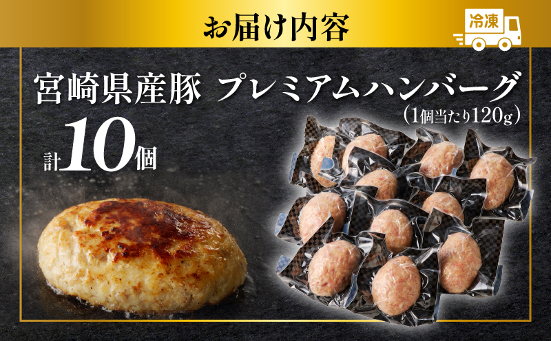 宮崎県産豚プレミアムハンバーグ(計10個)_T001-0101【肉 豚肉 加工品 惣菜 国産 人気 ギフト 食品 おかず 自家製 お土産 贈り物 送料無料 プレゼント】 計10個