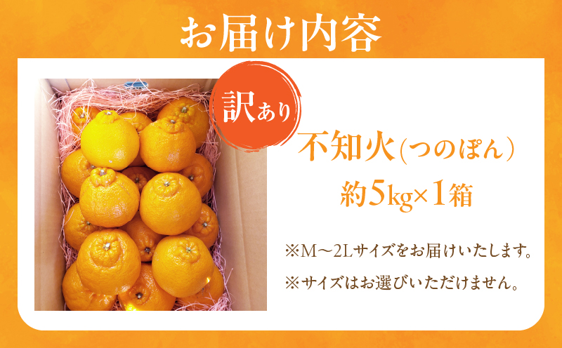 先行予約≪数量限定≫訳あり不知火(つのぽん)約5kg_T002-002【フルーツ 果物 柑橘 みかん 国産 人気 ギフト 食品 旬 果実 アウトレット デザート 送料無料 プレゼント】