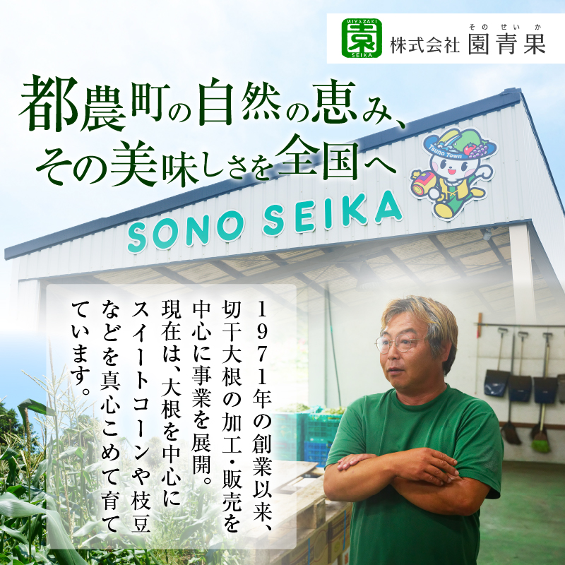 【2週間以内発送】≪宮崎県産≫切干大根(紅芯大根-そのでこ-)計10袋_T003-011【野菜 加工品 国産 人気 ギフト 食品 旬 副菜 干物 おかず 産地直送 送料無料 プレゼント】