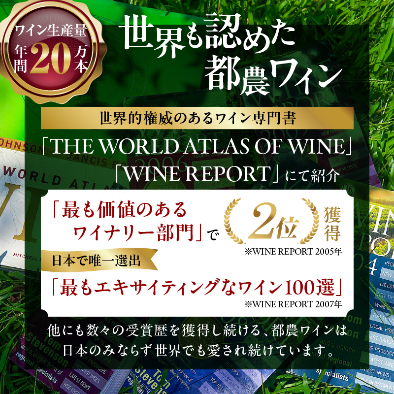 【数量限定】Hyakuzi エクストラセック カーボネイティッド(計1本)_T014-007【酒 飲料 アルコール 国産 人気 ギフト 食品 お酒 BBQ お土産 限定品 贈り物 送料無料 プレゼント】
