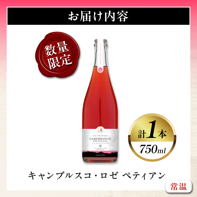 【数量限定】キャンブルスコ・ロゼ ペティアン (計1本)_T014-019【酒 ワイン アルコール 国産 人気 ギフト 飲料 食品 お酒 お土産 限定品 贈り物 送料無料 プレゼント】