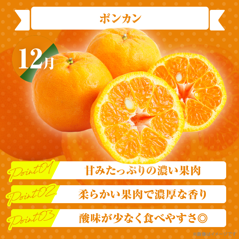 ≪定期便全4回≫2月・6月・9月・12月お届け!!４種フルーツ定期便★_T015-009【フルーツ 果物 デザート 国産 人気 ギフト 食品 旬 くだもの 果実 贈り物 お土産 送料無料 プレゼント】