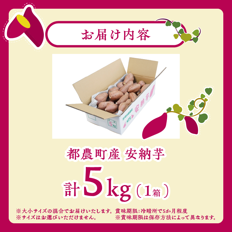 ≪期間限定≫都農町産安納芋(計5kg)_T016-0011【野菜 芋 イモ 国産 人気 ギフト おかず さつまいも 焼き芋 ポテト デザート 送料無料 プレゼント】