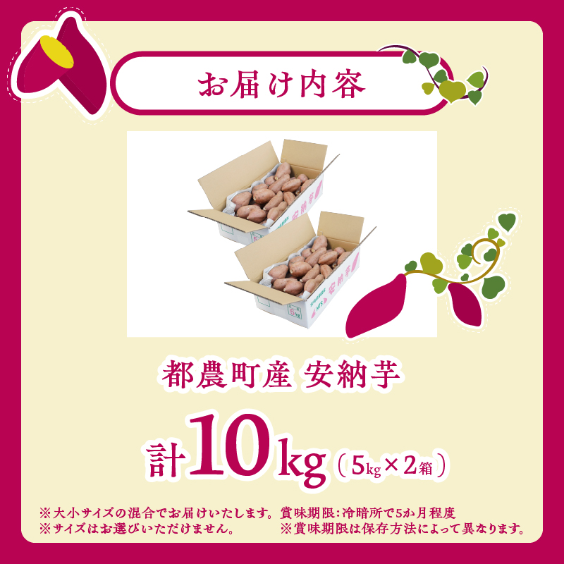 ≪期間限定≫都農町産安納芋(計10kg)_T016-0021【野菜 芋 イモ 国産 人気 ギフト おかず さつまいも 焼き芋 ポテト デザート 送料無料 プレゼント】