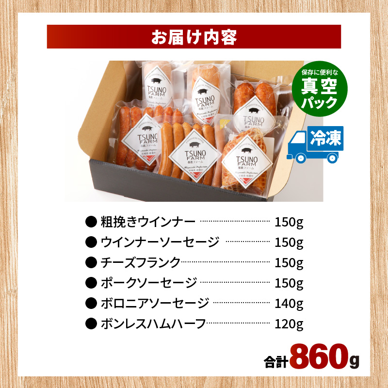 都農ファーム厳選「ウインナー・ハム6点セット」合計860g_T020-0011【肉 豚 豚肉 おかず 国産 人気 ギフト 食品 お肉 加工品 惣菜 お土産 贈り物 送料無料 プレゼント】