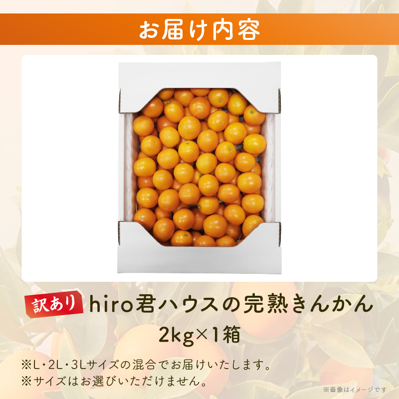 先行予約≪数量限定≫訳ありhiro君ハウスの『完熟きんかん(計2kg)』_T022-003【フルーツ 果物 金柑 国産 人気 ギフト 食品 くだもの アウトレット デザート 送料無料 プレゼント】
