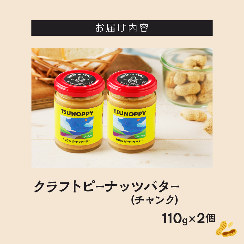 【2週間以内発送】都農町産クラフトピーナッツバター(チャンク)計2個_T024-0111【落花生 加工品 国産 人気 ギフト 食品 ジャム デザート 贈り物 お土産 送料無料 プレゼント】