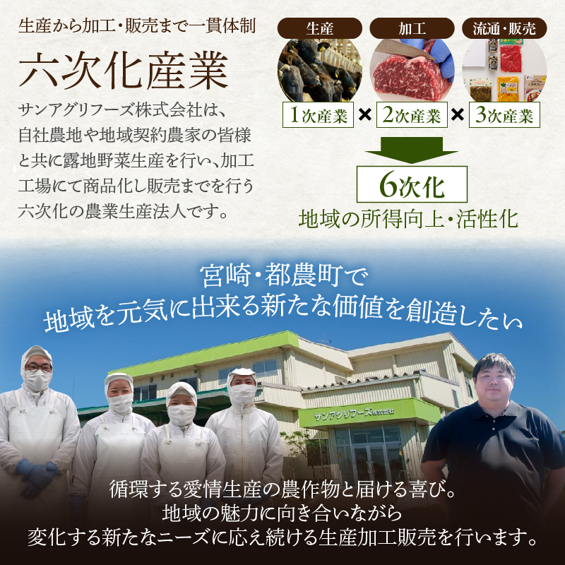 FRESH HABANERO(ハバネロ)計2瓶 漬物 おかず 野菜 加工品 国産_T025-047