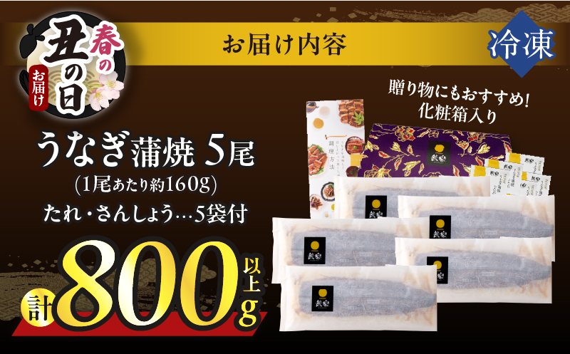 【春の丑の日までにお届け!!】うなぎ蒲焼5尾(さんしょう・たれ付き)計800g以上_T026-0032-US1【鰻 魚 魚介 加工品 国産 人気 ギフト 食品 おかず 惣菜 高級 お土産 贈り物 送料無料 プレゼント】