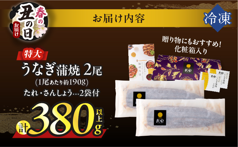 【春の丑の日までにお届け!!】うなぎ蒲焼特大2尾(さんしょう・たれ付き)計380g以上_T026-0061-US1【鰻 魚 魚介 加工品 国産 人気 ギフト 食品 おかず 惣菜 高級 お土産 贈り物 送料無料 プレゼント】