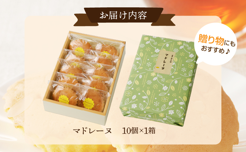 【2週間以内発送】老舗菓子舗のマドレーヌ計10個_T035-0021【焼き菓子 スイーツ 詰め合わせ 洋菓子 人気 ギフト 食品 贈り物 お土産 デザート 加工品 送料無料 プレゼント】