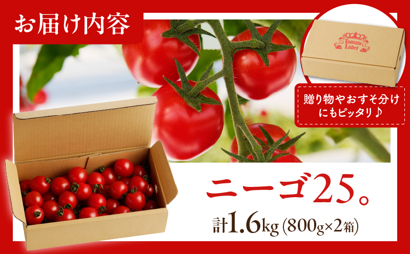 ≪期間限定≫高糖度ミニトマト『ニーゴ25。』(計1.6kg)_T040-0021【ミニトマト 野菜 サラダ 国産 人気 ギフト 食品 とまと フルーツ 新鮮 お土産 送料無料 プレゼント】