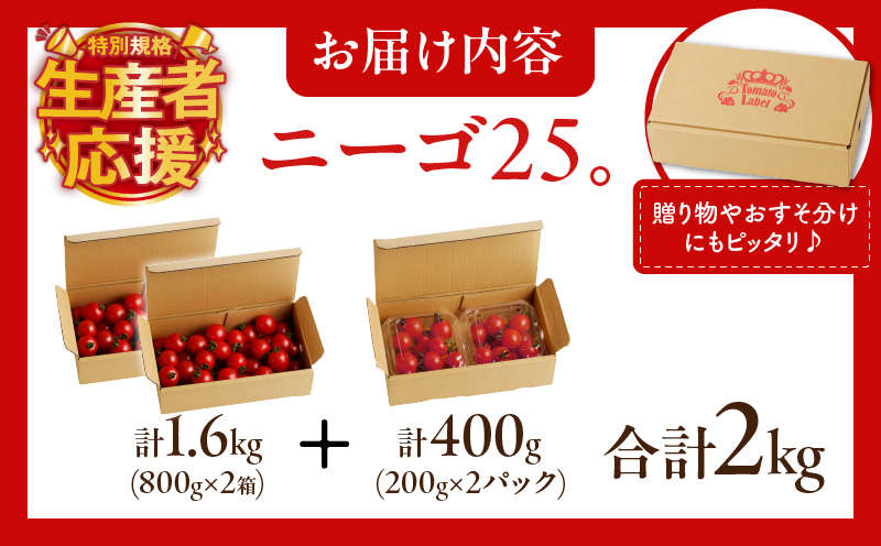 生産者応援!!【期間・数量限定特別規格】高糖度ミニトマト『ニーゴ25。』(計2kg)_T040-0021-ZO【ミニトマト 野菜 サラダ 国産 人気 ギフト 食品 とまと フルーツ 新鮮 お土産 送料無料 プレゼント】