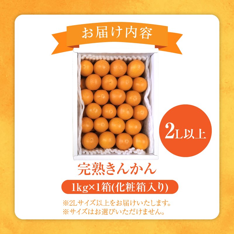 先行予約≪数量限定≫完熟きんかん(計1kg) 化粧箱入り_T042-0021【フルーツ 果物 柑橘 国産 人気 ギフト 食品 くだもの 金柑 デザート 贈り物 お土産 送料無料プレゼント】