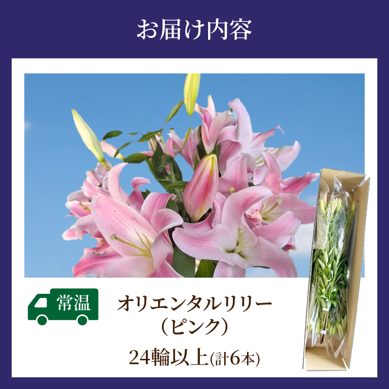 【2週間以内発送】「オリエンタルリリー ユリ」(ピンク) 計6本_T045-0021【生花 切花 百合 国産 人気 ギフト 花 花束 生花 植物 鑑賞用 贈り物 お土産 送料無料 プレゼント】