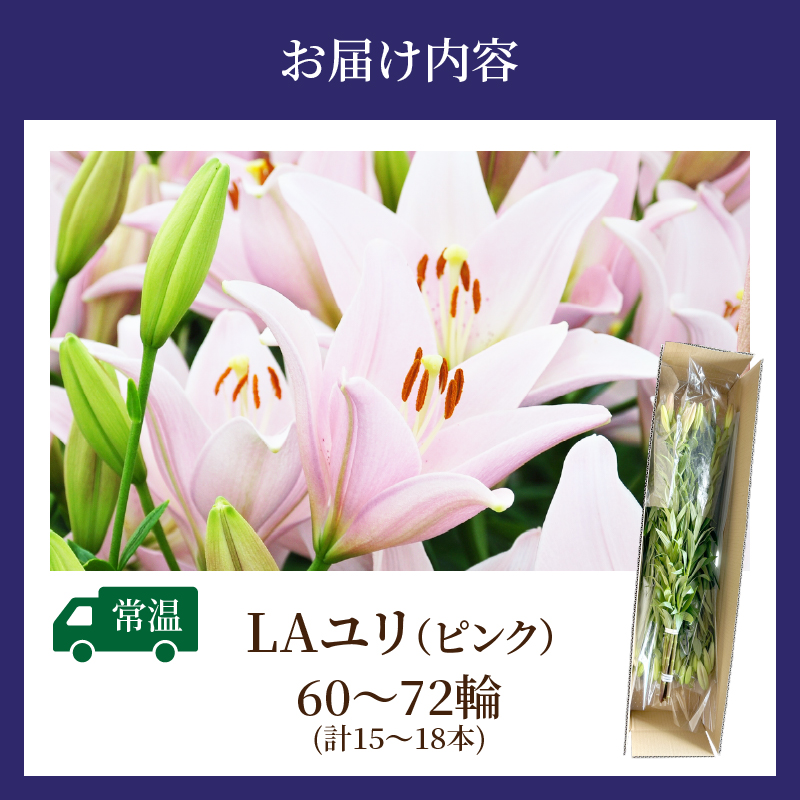 【2週間以内発送】≪期間限定≫LA ユリ(ピンク) 約15本_T045-0051【ゆり 切花 百合 国産 人気 ギフト 花 花束 生花 植物 鑑賞用 贈り物 お土産 送料無料 プレゼント】