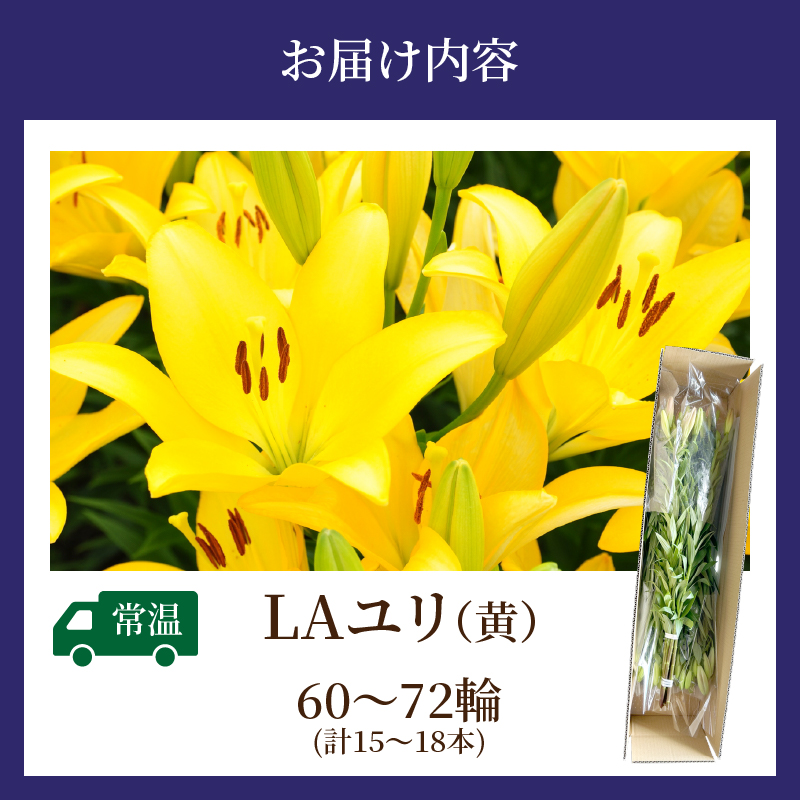 【2週間以内発送】≪期間限定≫LA ユリ(黄) 約15本_T045-0061【生花 切花 百合 国産 人気 ギフト 花 花束 生花 植物 鑑賞用 贈り物 お土産 送料無料 プレゼント】
