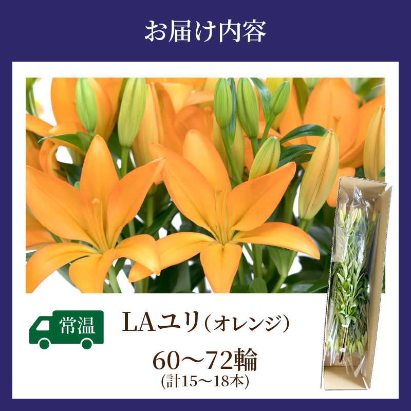 【2週間以内発送】≪期間限定≫LA ユリ(オレンジ) 約15本_T045-0071【生花 切花 百合 国産 人気 ギフト 花 花束 生花 植物 鑑賞用 贈り物 お土産 送料無料 プレゼント】
