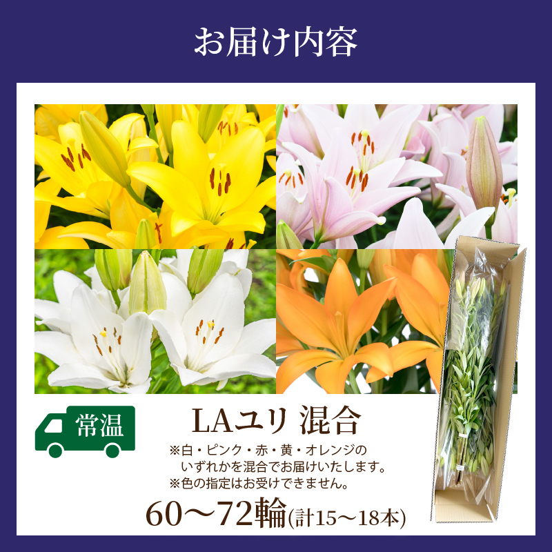 【2週間以内発送】≪期間限定≫LA ユリ(混合) 約15本_T045-0081【生花 切花 百合 国産 人気 ギフト 花 花束 生花 植物 鑑賞用 贈り物 お土産 送料無料 プレゼント】