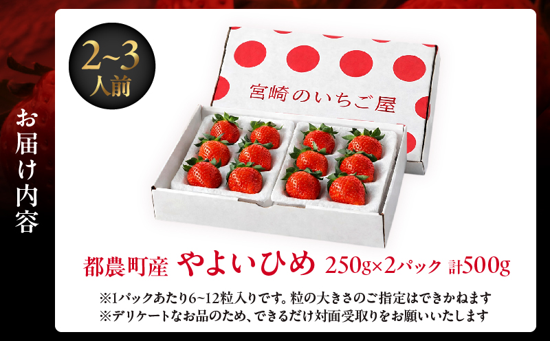 ≪数量限定≫都農町産いちご「やよいひめ」計500g_T059-0015【フルーツ 果物 デザート イチゴ 国産 人気 ギフト 食品 旬 苺 くだもの 果実 贈り物 お土産 送料無料 プレゼント】