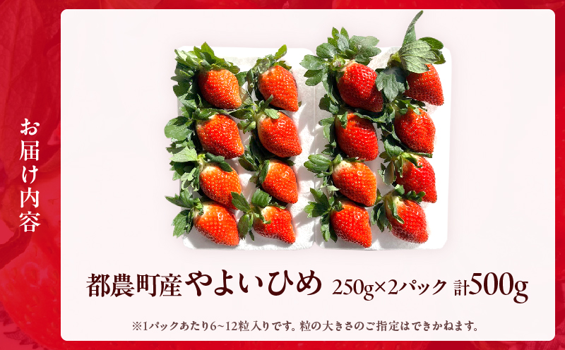 ≪先行予約≫都農町産いちご「やよいひめ」計500g_T059-001【フルーツ 果物 デザート イチゴ 国産 人気 ギフト 食品 旬 苺 くだもの 果実 贈り物 お土産 送料無料 プレゼント】