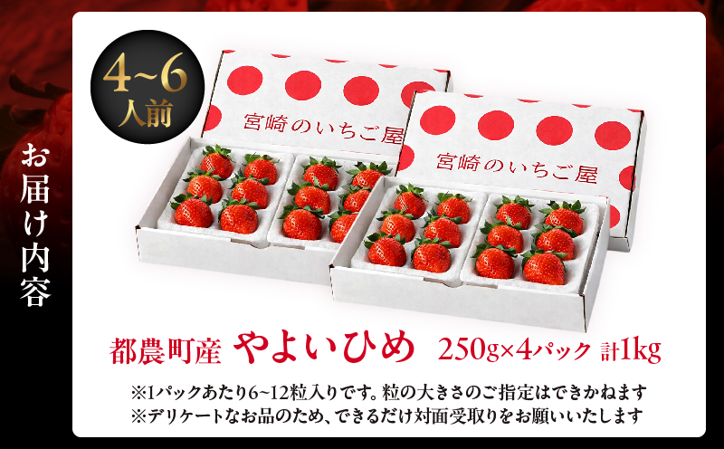 ≪数量限定≫都農町産いちご「やよいひめ」計1kg_T059-0025【フルーツ 果物 デザート イチゴ 国産 人気 ギフト 食品 旬 苺 くだもの 果実 贈り物 お土産 送料無料 プレゼント】