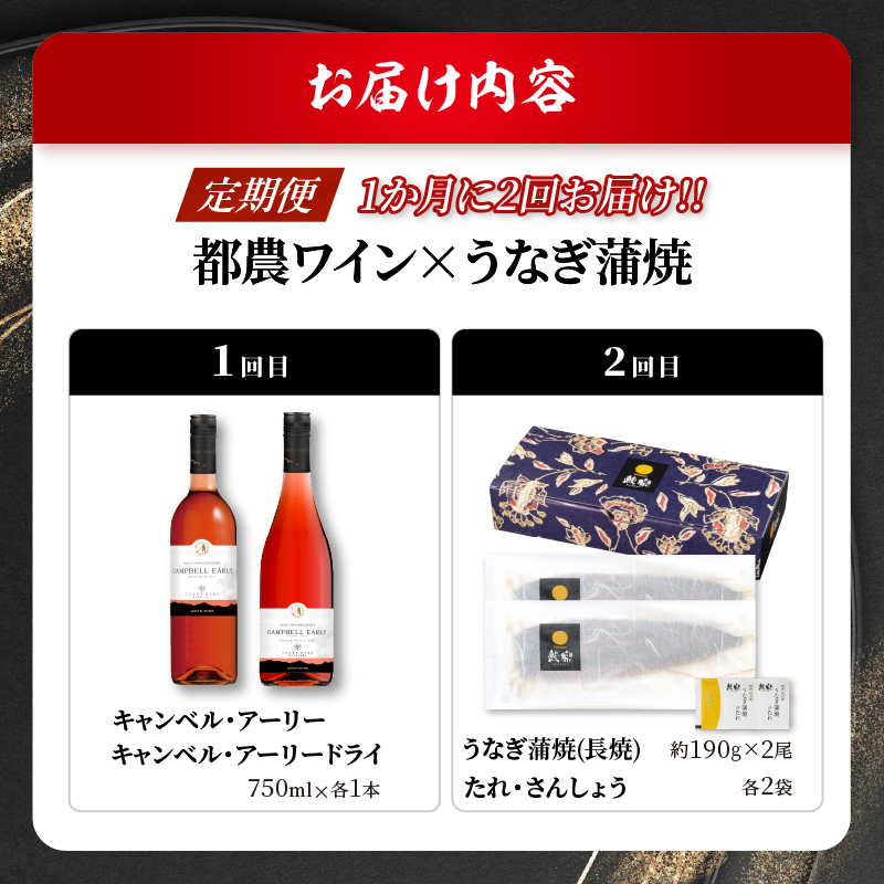 ≪定期便≫＼1か月に2回お届け!!／都農ワイン×うなぎ蒲焼★最強コンビ_T999-0031【酒 飲料 鰻 魚介 国産 人気 ギフト 食品 お酒 飲み比べ 惣菜 高級 お土産 贈り物 送料無料】