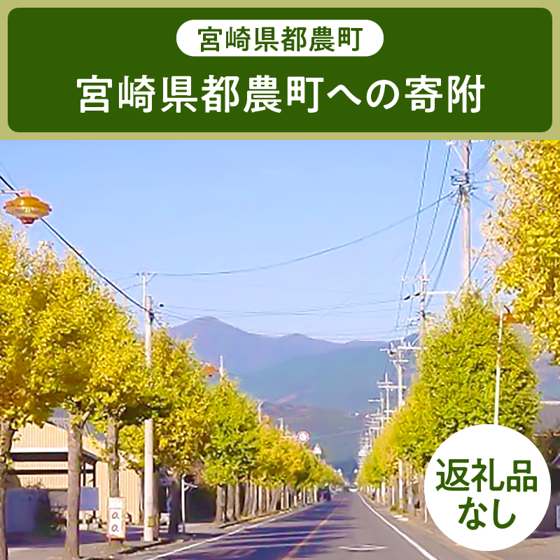 ≪返礼品なし≫宮崎県都農町への寄附【1口 100,000円】_T000-001-12
