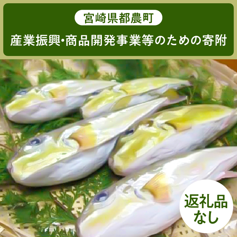 ≪返礼品なし≫宮崎県都農町の産業振興・商品開発事業等のための寄附【1口 5,000円】_T000-005-05