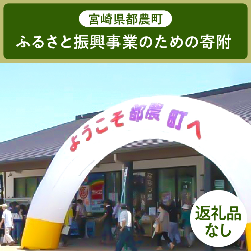 ≪返礼品なし≫宮崎県都農町のふるさと振興事業のための寄附【1口 50,000円】_T000-007-11