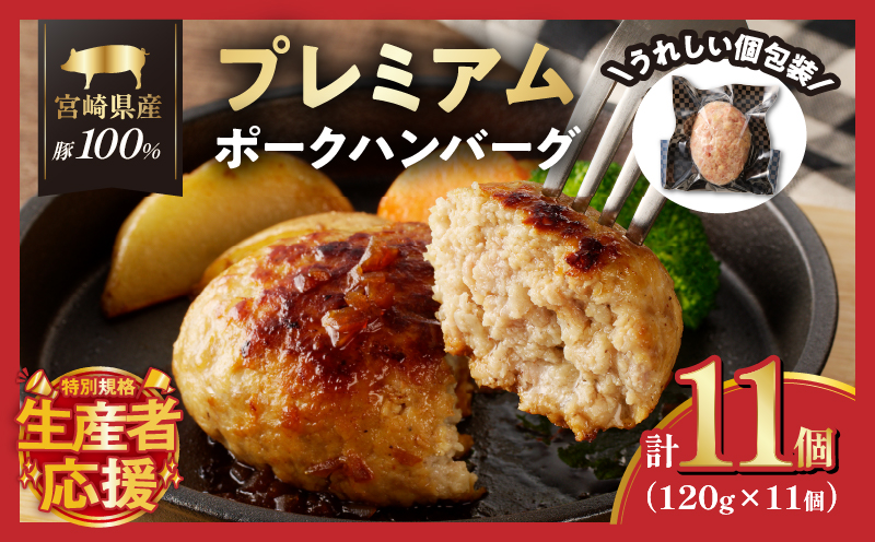 生産者応援!!【期間・数量限定特別規格】宮崎県産豚プレミアムハンバーグ(計11個)_T001-0101-ZO【肉 豚肉 加工品 惣菜 国産 人気 ギフト 食品 おかず 自家製 お土産 贈り物 送料無料 プレゼント】