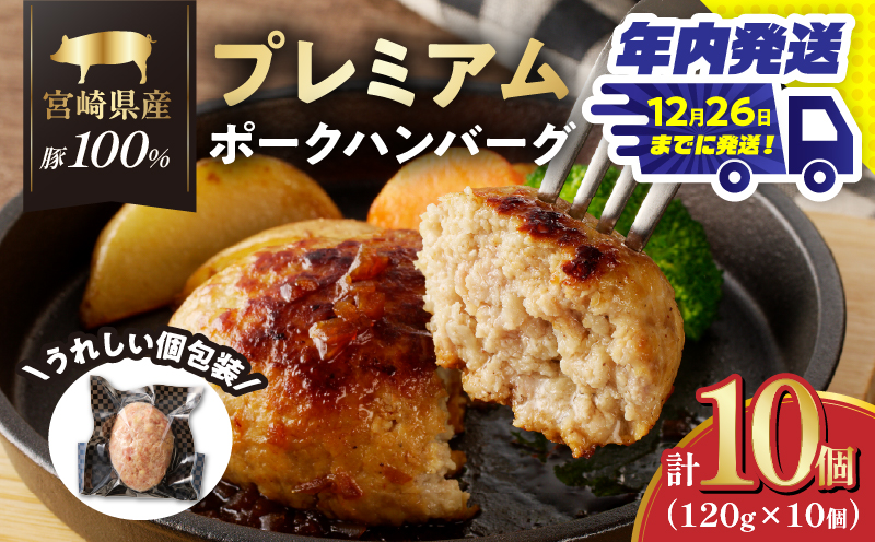 ＼年内発送!!／宮崎県産豚プレミアムハンバーグ(計10個)_T001-0101-N【肉 豚肉 加工品 惣菜 国産 人気 ギフト 食品 おかず 自家製 お土産 贈り物 送料無料 プレゼント】