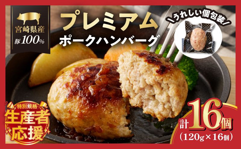 生産者応援!!【期間・数量限定特別規格】宮崎県産豚プレミアムハンバーグ(計16個)_T001-0111-ZO【肉 豚肉 加工品 惣菜 国産 人気 ギフト 食品 おかず 自家製 お土産 贈り物 送料無料 プレゼント】