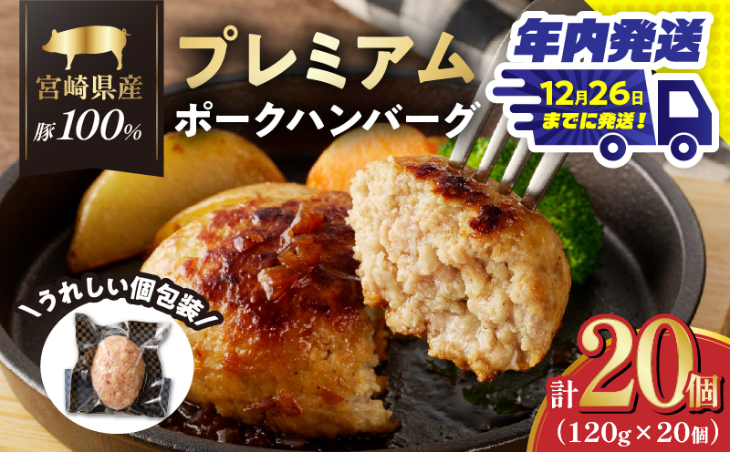 ＼年内発送!!／宮崎県産豚プレミアムハンバーグ(計20個)_T001-0121-N【肉 豚肉 加工品 惣菜 国産 人気 ギフト 食品 おかず 自家製 お土産 贈り物 送料無料 プレゼント】