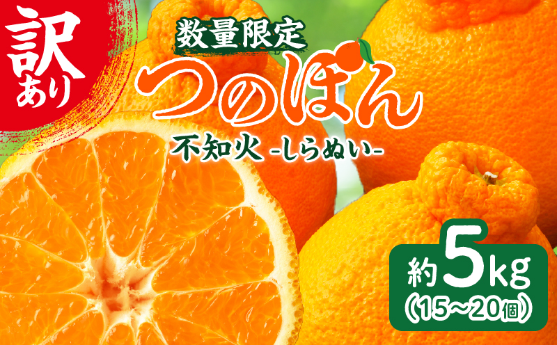 先行予約≪数量限定≫訳あり不知火(つのぽん)約5kg_T002-002【フルーツ 果物 柑橘 みかん 国産 人気 ギフト 食品 旬 果実 アウトレット デザート 送料無料 プレゼント】
